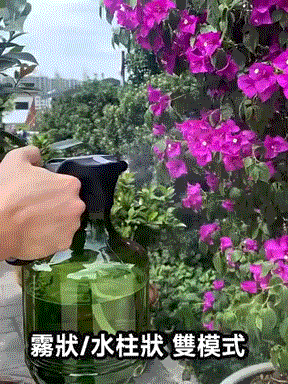 2.gif