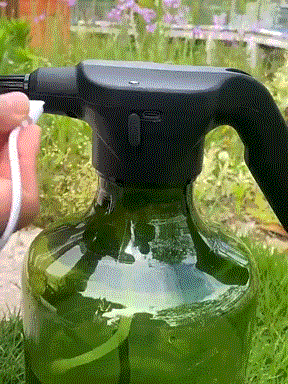 3.gif