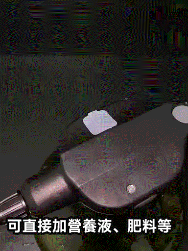 4.gif