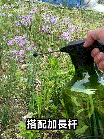 5.gif